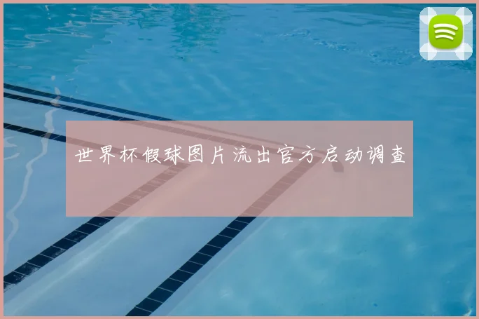 世界杯假球图片流出官方启动调查