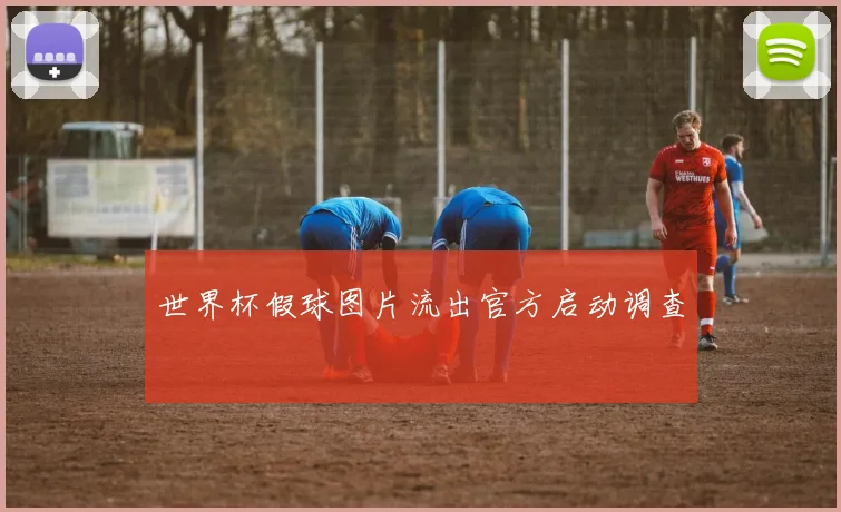 世界杯假球图片流出官方启动调查